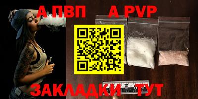 гашик Новозыбков