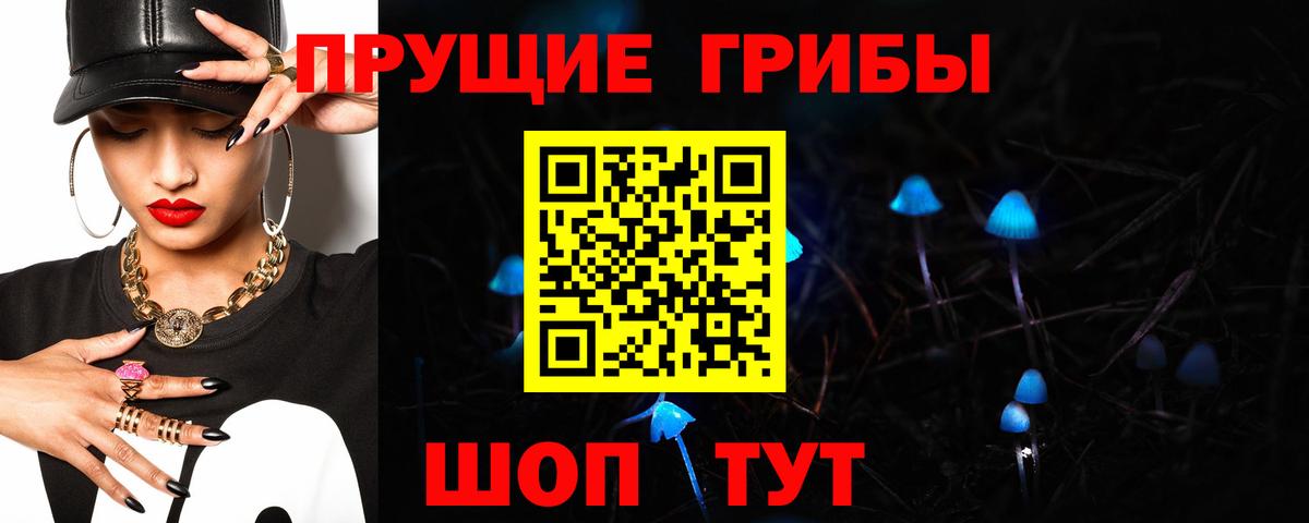 Псилоцибиновые грибы прущие грибы Томск